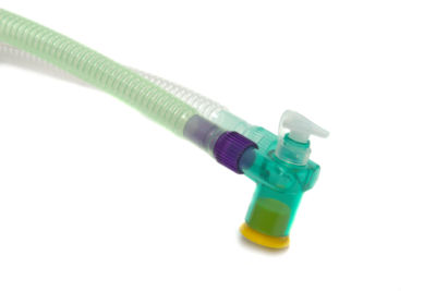 Breathing systems for use with SLE® – 2000 ventilator